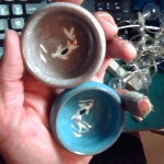 �i�J����