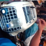 �i�J����