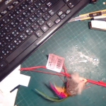 �i�J����