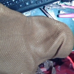 �i�J����