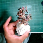 �i�J����