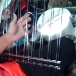 �i�J����