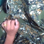 �i�J����