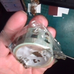 �i�J����