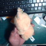 �i�J����