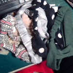 �i�J����