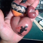 �i�J����