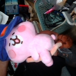 �i�J����