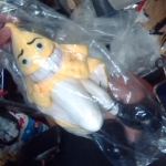 �i�J����