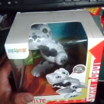 �i�J����