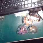 �i�J����