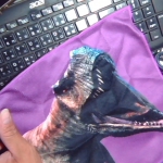 �i�J����