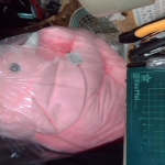 �i�J����