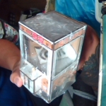 �i�J����