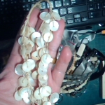 �i�J����