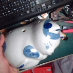 �i�J����